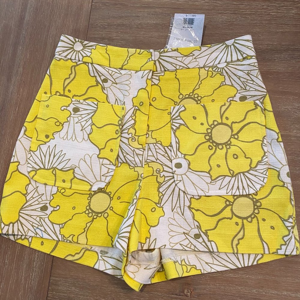 NWT Topshop High Waisted Shorts US 2